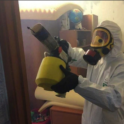 Уничтожение клопов в квартире. поселок Каменка